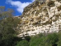 Albums/20060200-New Zealand 2006/20060316-Twiz/27